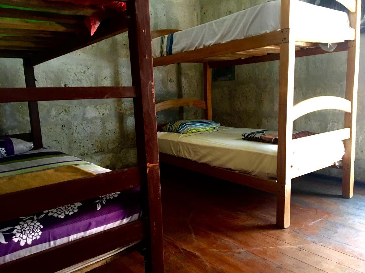 Lion Aqp Hostel Yanahuara Εξωτερικό φωτογραφία